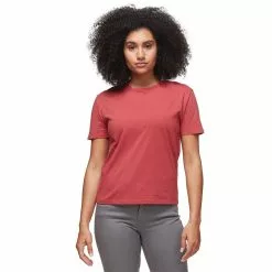 Stoic Core Short Sleeve Crew Top Women's 22 Stoic Core Short Sleeve Crew Top Women's -Stoic Pop Store DUSCED 2